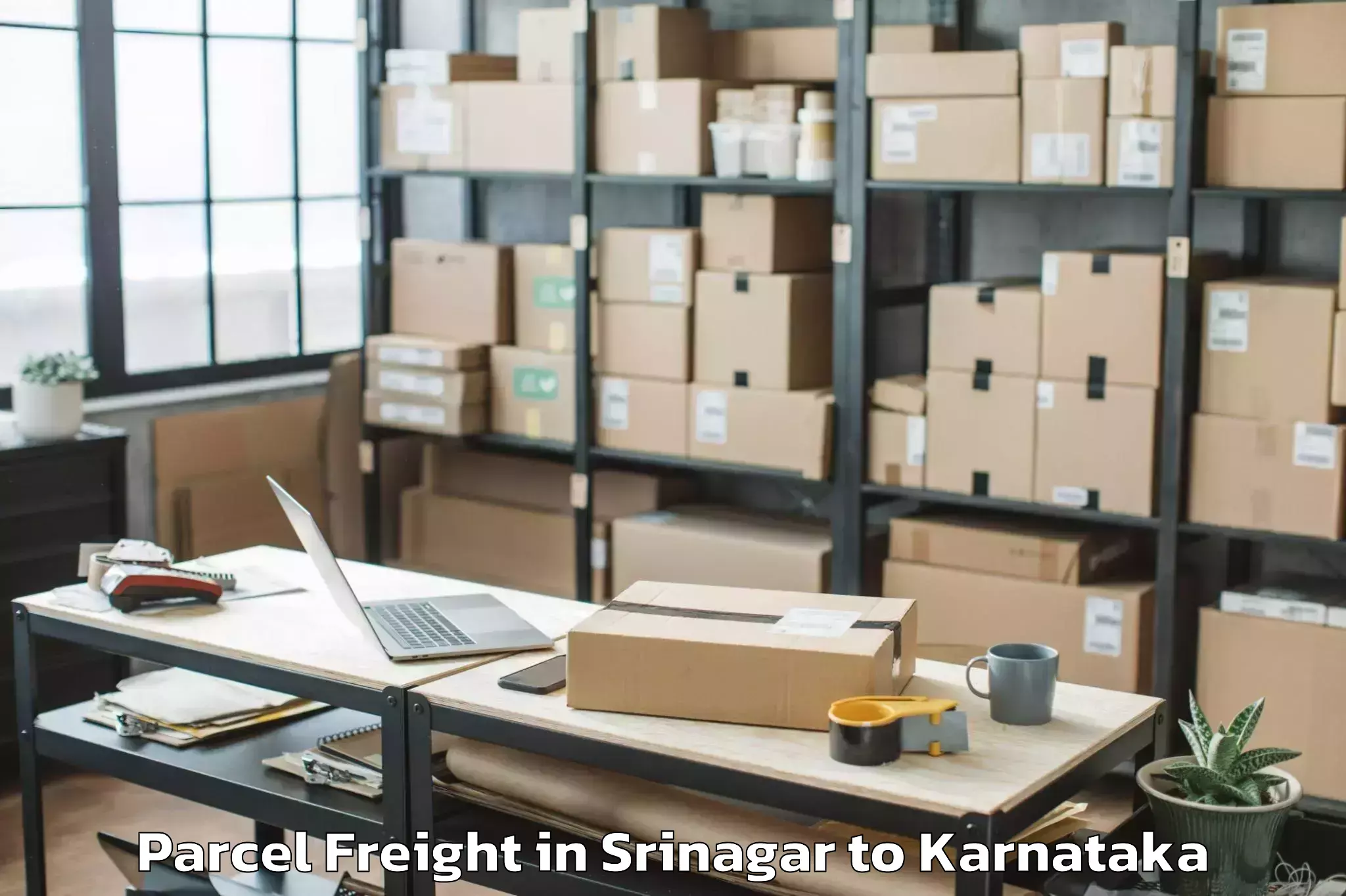 Book Your Srinagar to Belgaum Parcel Freight Today